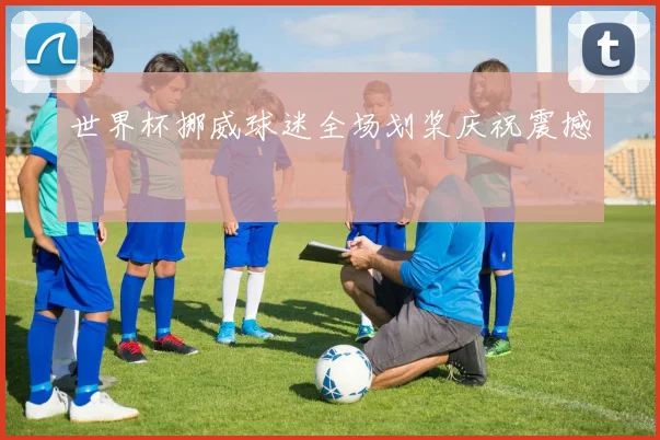 世界杯挪威球迷全场划桨庆祝震撼
