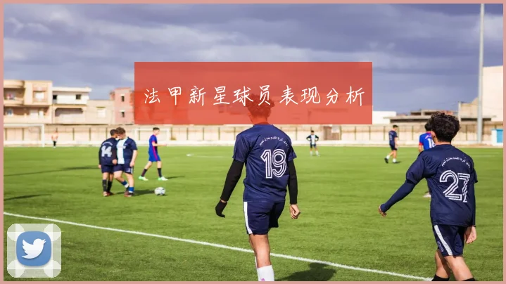 法甲新星球员表现分析